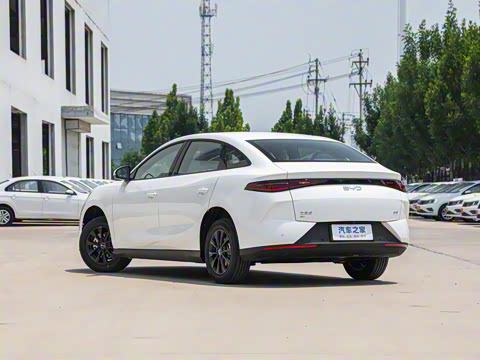 2025�� 520�ǻݰ�