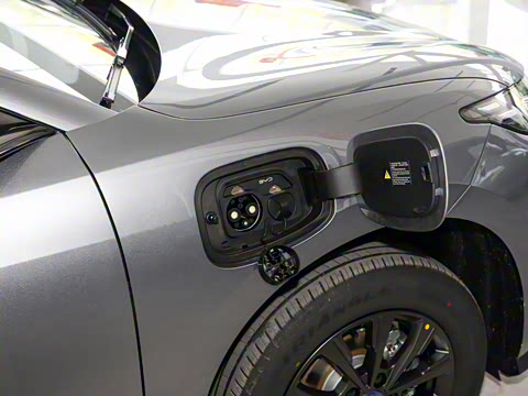 2025�� 520�ǻݰ�