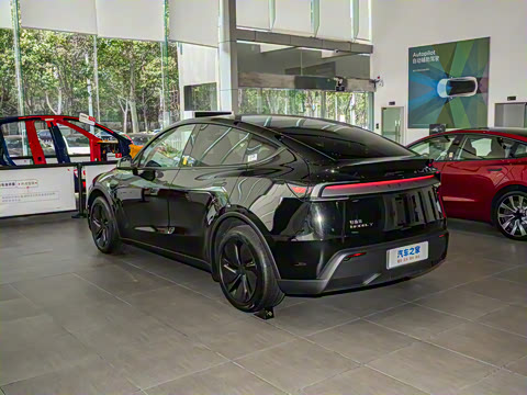 2025�� ����������