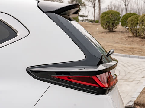 2021�� �񡤻춯 2.0L ����������