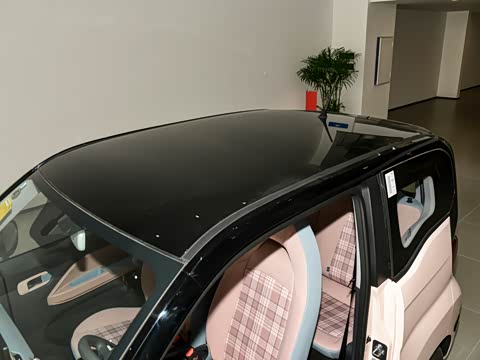 2025�� 205km ʥ����