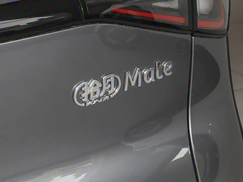 2026�� Mate 305km ����̤�˰�