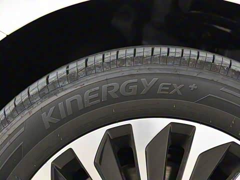 2019�� ������