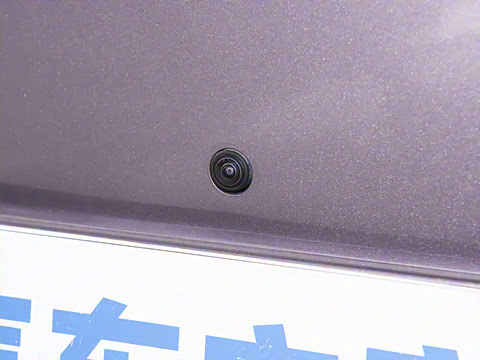 2024�� 555������