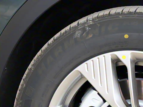 2025�� 565km ������