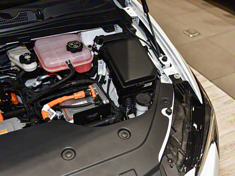 2022�� �����ǻ��� PLUS