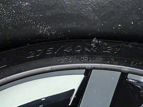 2025�� ������������������Max��