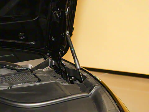 2025�� 600 ������