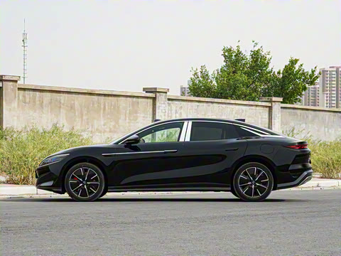 2025�� DM-i 200KM�����״�������