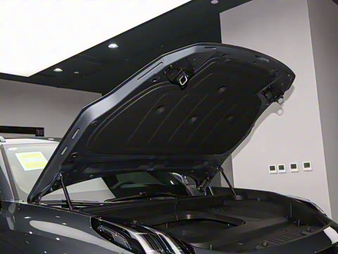 2025�� 2.0TD EM-P ����Max ����