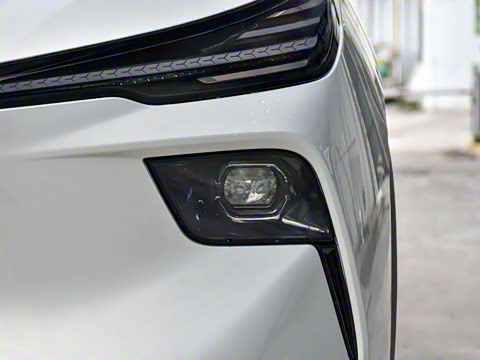 2025�� 445km ��ѡ��