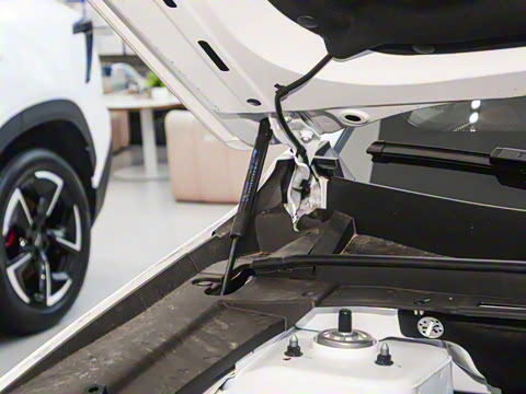 2025�� 1.5T ����� 5��