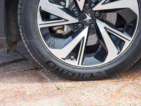 2022�� ������