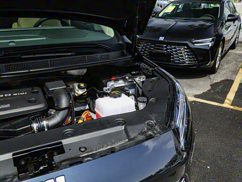 2025�� ½�� ������ 7��