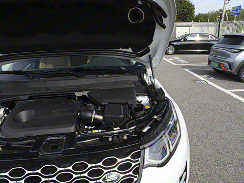 2024�� 1.5T P300e ���ʽ�綯��ϰ�