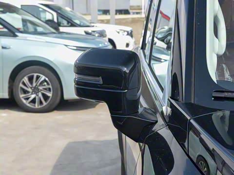 2025�� 2.0T 4WD Pro