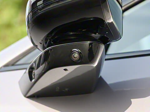 2025�� 600 �������� Max