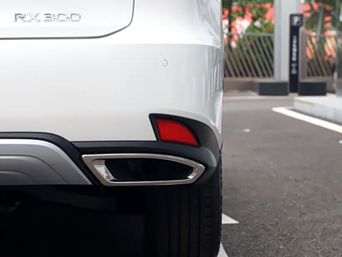 2020�� �Ŀ� 300 ������Ӣ��