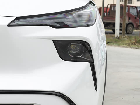 2025�� 565km ������