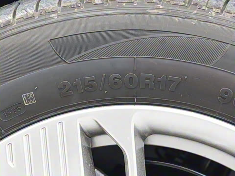 2025�� 565km ������