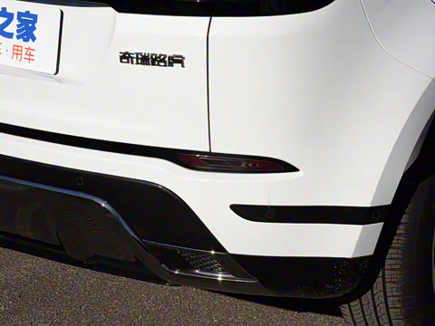 2021�� ����L P300e ������