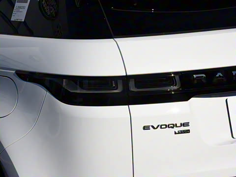 2021�� ����L P300e ������