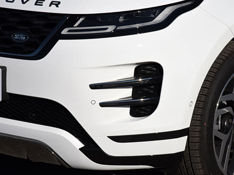 2021�� ����L P300e ������