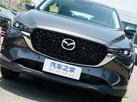 2025�� 2.0L �Զ�����������