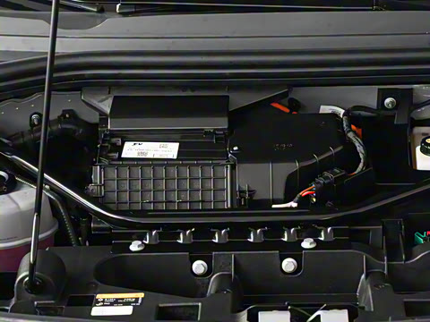 2025�� ������PURE+��