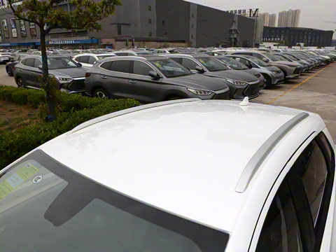 2023�� ������