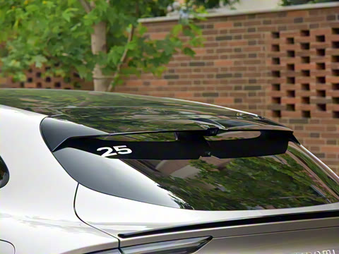 2025�� ������������������Max��