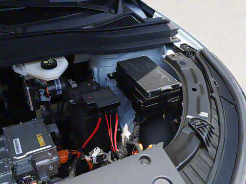 2025�� 445km ���ð�