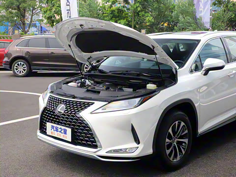 2020�� �Ŀ� 300 ������Ӣ��