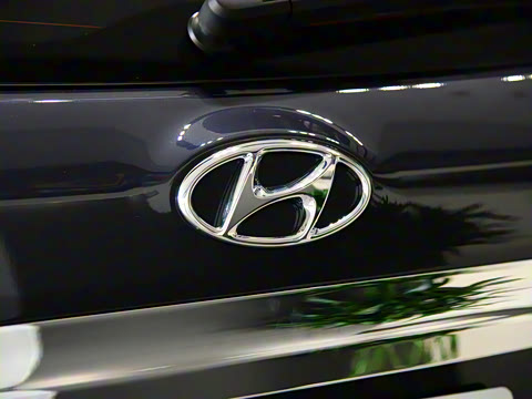 2020�� 2.0L �Զ��������¡�������