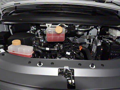 2025�� 110km���� ������7��