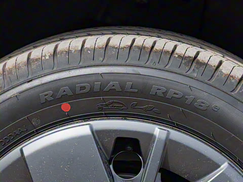 2025�� �Ǽݰ� 305km ������