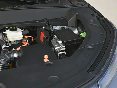 2025�� 55km ̽����