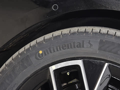 2025�� Max�����