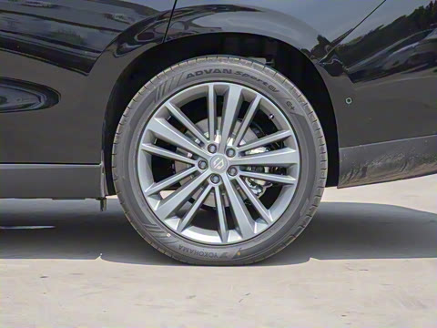 2026�� ���� 280�����״������ 5��