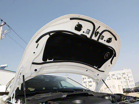 2022�� ����L P300e ���ʽ�綯��ϰ�