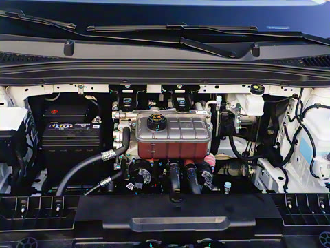 2025�� 650������