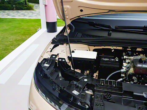 2025�� 550������