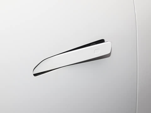 2025�� 290TGDI DCT�˷�� 