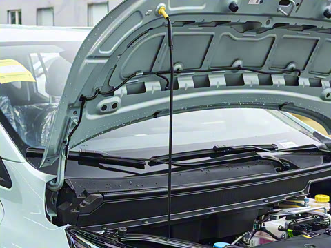 2025�� Plus 510 �Ǻ���