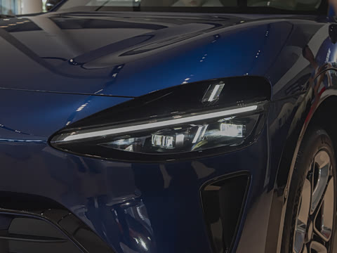 2025�� ������������������Max��