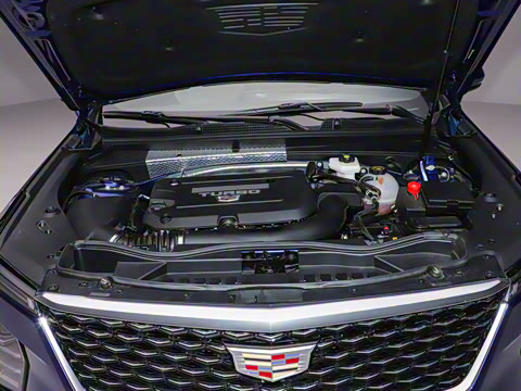 2024�� �Ŀ� 28T ���������