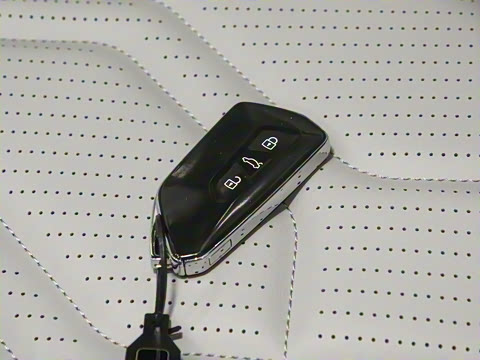 2025�� ̽��L 300TSI ������Ӣ