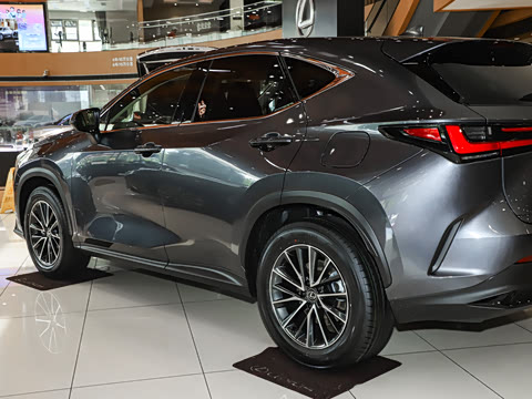 2025�� 260 ǰ�� �ر��