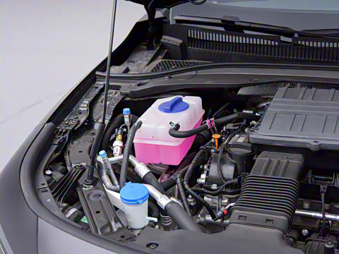 2025�� 145km ������