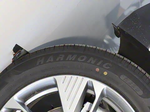 2021�� �г���չ��